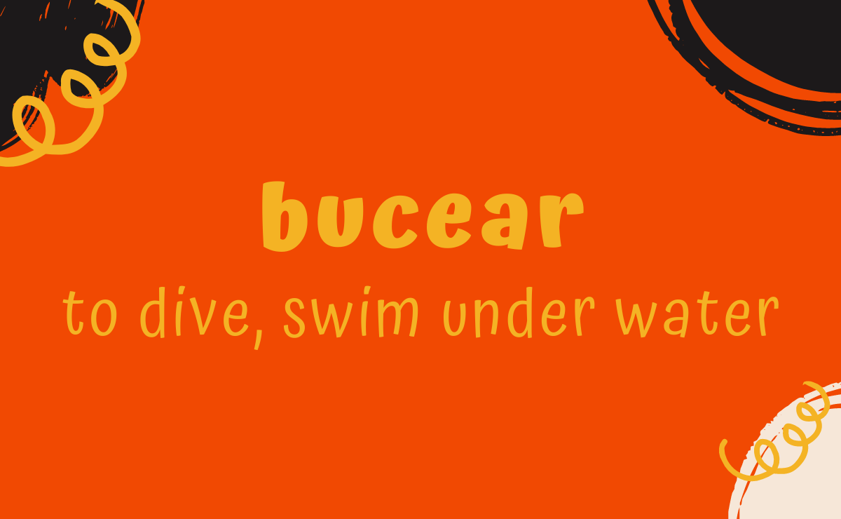 Bucear conjugation - to dive